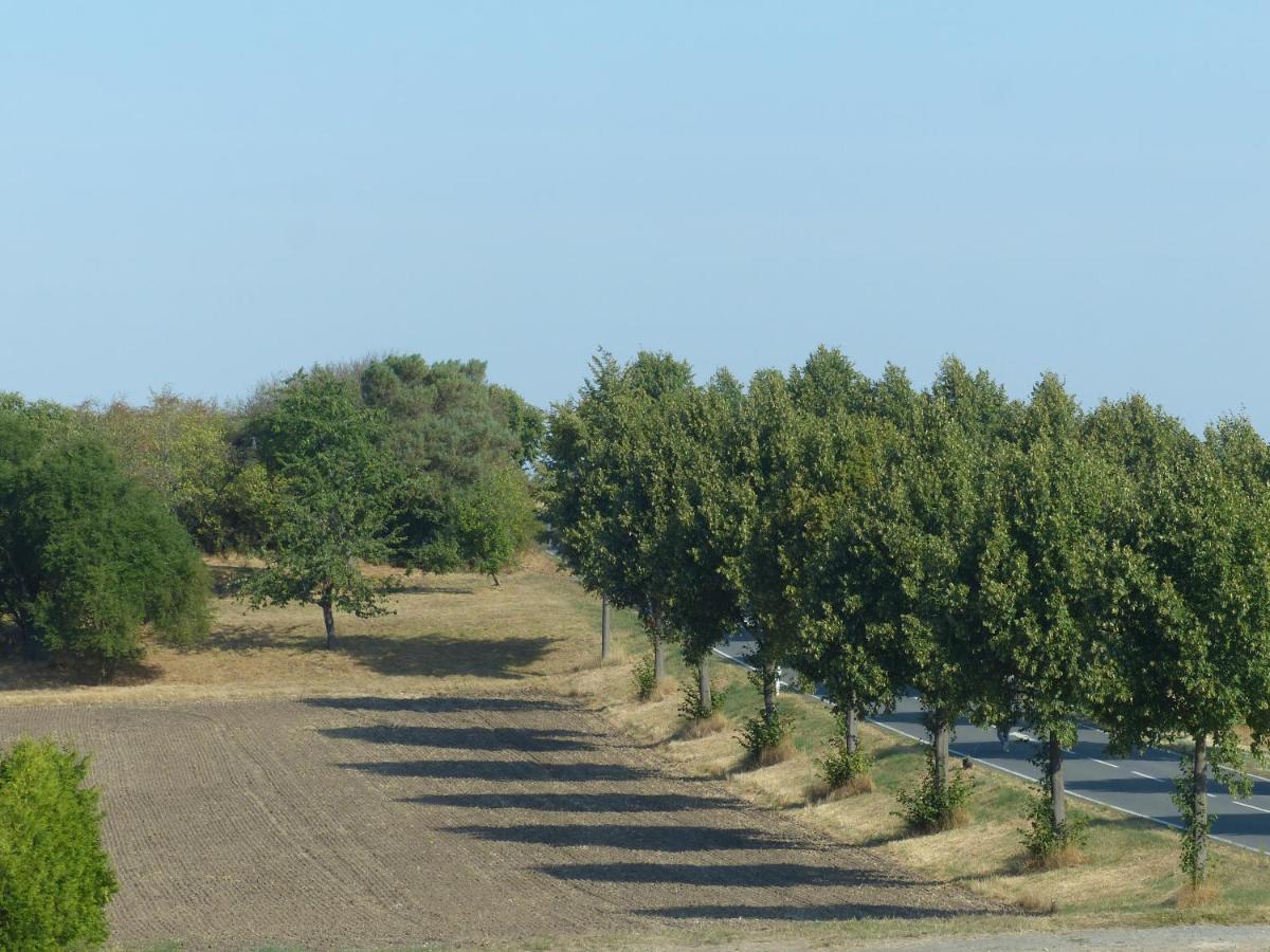 Ferienwohnung Mit Brockenblick Langenstein Εξωτερικό φωτογραφία