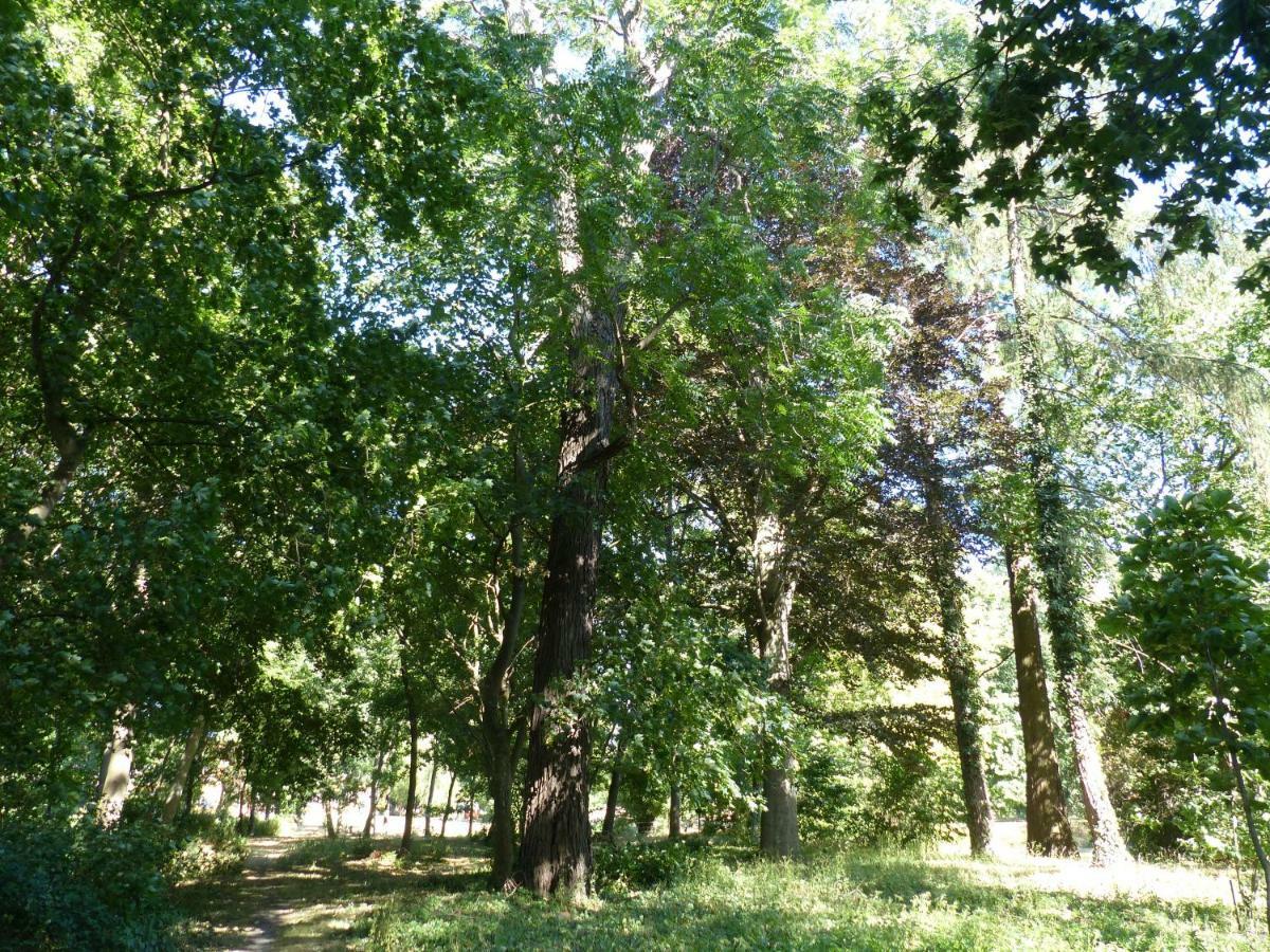 Ferienwohnung Mit Brockenblick Langenstein Εξωτερικό φωτογραφία